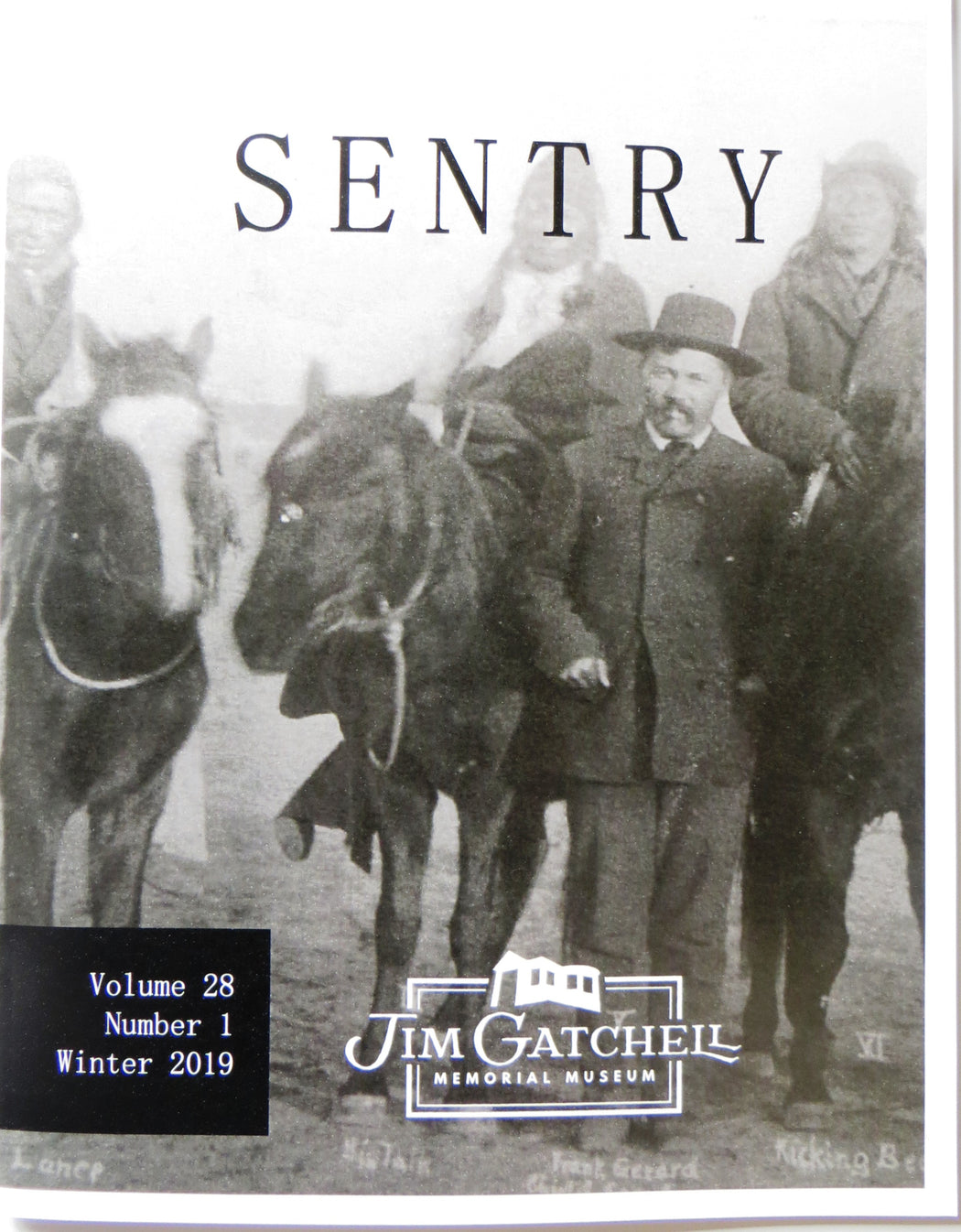 Sentry Subscription